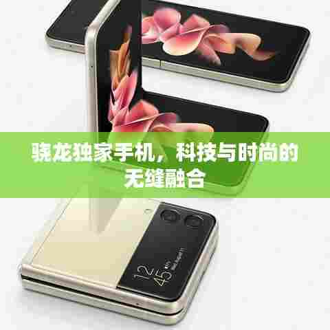 骁龙独家手机，科技与时尚的无缝融合