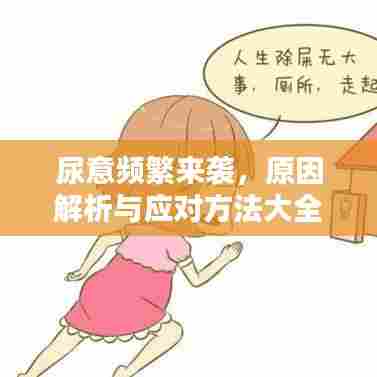 尿意频繁来袭，原因解析与应对方法大全