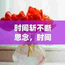 时间斩不断思念，时间不断流逝 