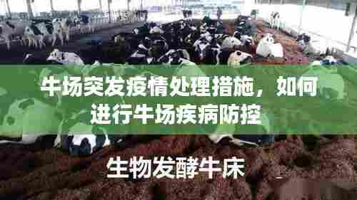 牛场突发疫情处理措施,如何进行牛场疾病防控