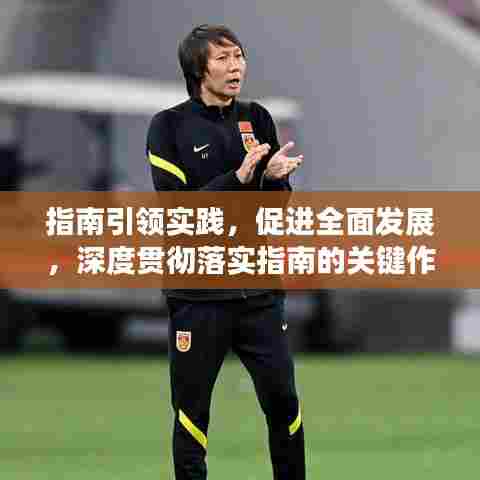 指南引领实践，促进全面发展，深度贯彻落实指南的关键作用