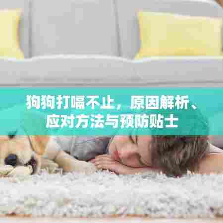 狗狗打嗝不止，原因解析、应对方法与预防贴士