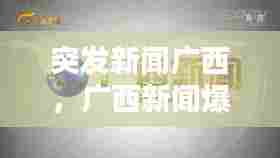 突发新闻广西，广西新闻爆料 