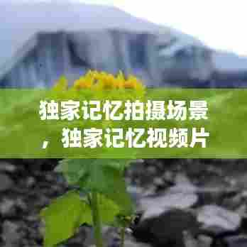 独家记忆拍摄场景，独家记忆视频片段 