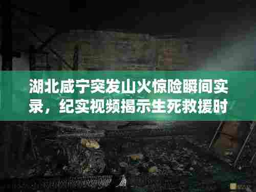 湖北咸宁突发山火惊险瞬间实录,纪实视频揭示生死救援时刻
