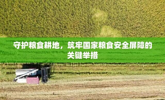 守护粮食耕地，筑牢国家粮食安全屏障的关键举措