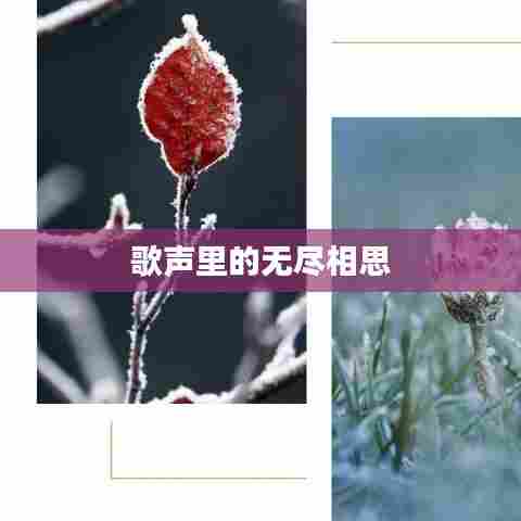 张飞穿针 第6页