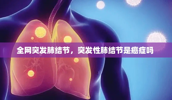 吉光片羽 第7页