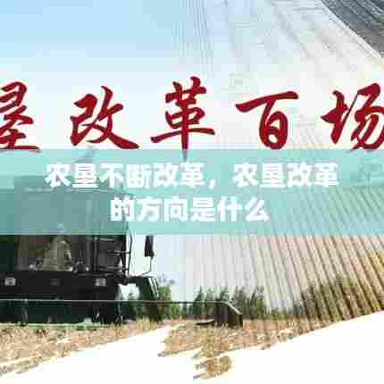 农垦不断改革，农垦改革的方向是什么 