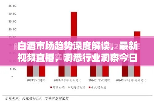 白酒市场趋势深度解读,最新视频直播,洞悉行业洞察今日呈现