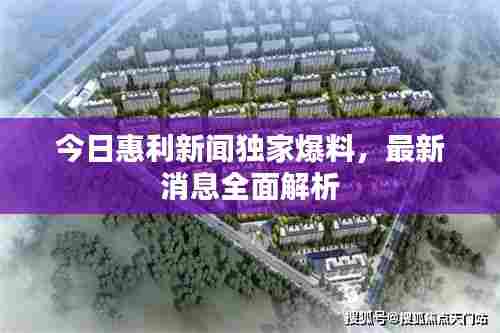 今日惠利新闻独家爆料,最新消息全面解析