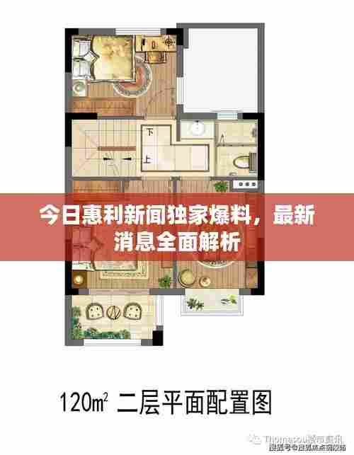 今日惠利新闻独家爆料,最新消息全面解析