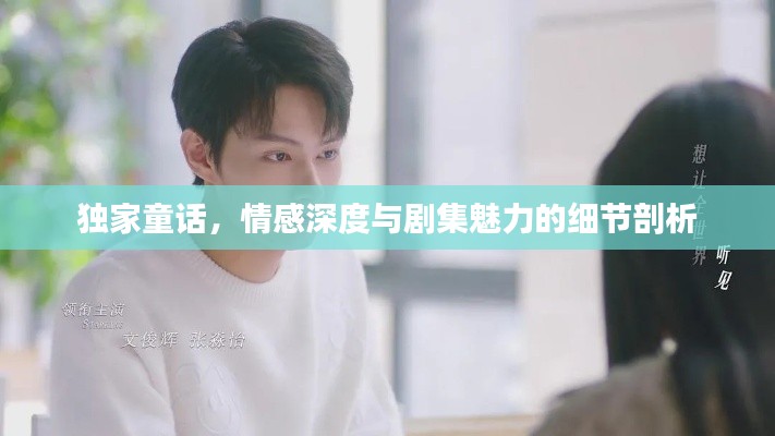 独家童话,情感深度与剧集魅力的细节剖析