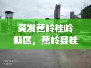 突发蕉岭桂岭新区，蕉岭县桂岭学校官网 