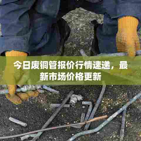 今日废铜管报价行情速递，最新市场价格更新