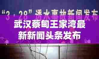 武汉蔡甸王家湾最新新闻头条发布