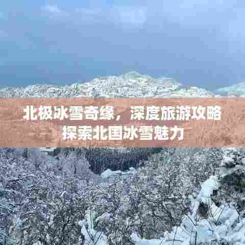 北极冰雪奇缘,深度旅游攻略探索北国冰雪魅力