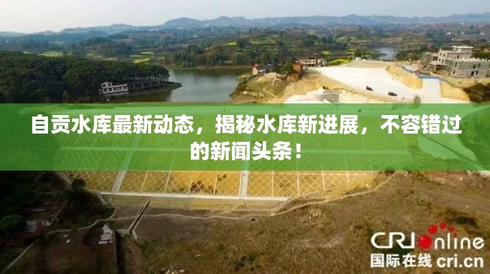自贡水库最新动态，揭秘水库新进展，不容错过的新闻头条！