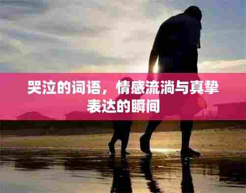 哭泣的词语，情感流淌与真挚表达的瞬间
