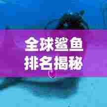 全球鲨鱼排名揭秘，哪些鲨鱼荣登榜首？