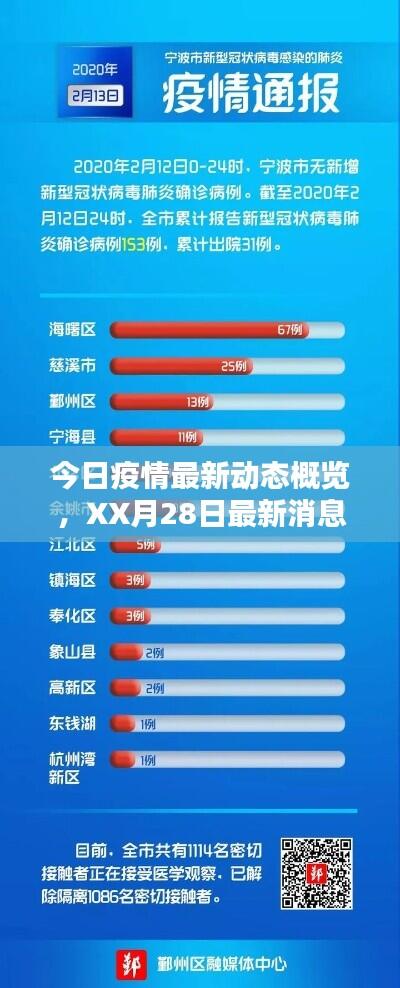 今日疫情最新动态概览，XX月28日最新消息概述