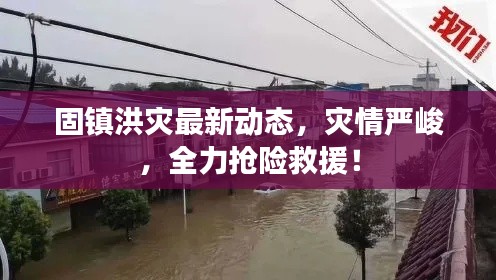 固镇洪灾最新动态,灾情严峻,全力抢险救援!