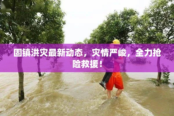 固镇洪灾最新动态,灾情严峻,全力抢险救援!