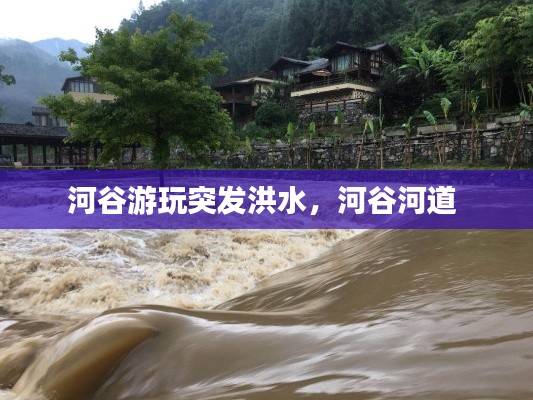河谷游玩突发洪水，河谷河道 