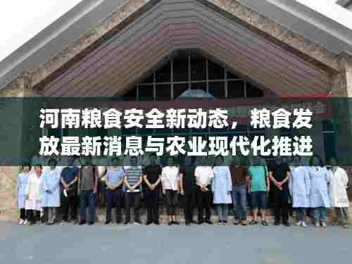 河南粮食安全新动态,粮食发放最新消息与农业现代化推进保障粮食安全