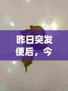 昨日突发便后，今天拉便便突然出血怎么回事 