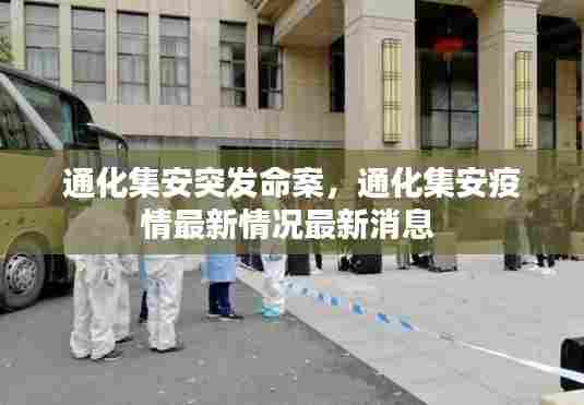 通化集安突发命案，通化集安疫情最新情况最新消息 