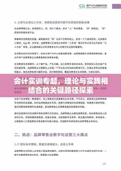 会计实训专题，理论与实践相结合的关键路径探索