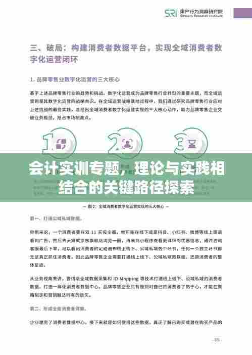 会计实训专题,理论与实践相结合的关键路径探索