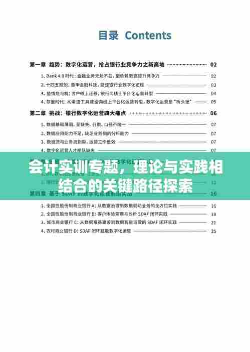 会计实训专题,理论与实践相结合的关键路径探索