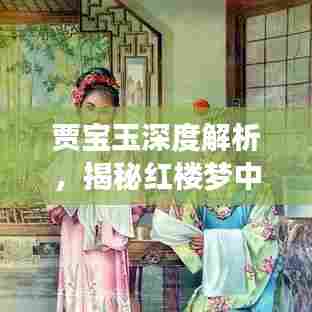 贾宝玉深度解析,揭秘红楼梦中的公子哥风采专题PPT文章