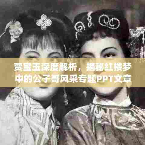 贾宝玉深度解析,揭秘红楼梦中的公子哥风采专题PPT文章