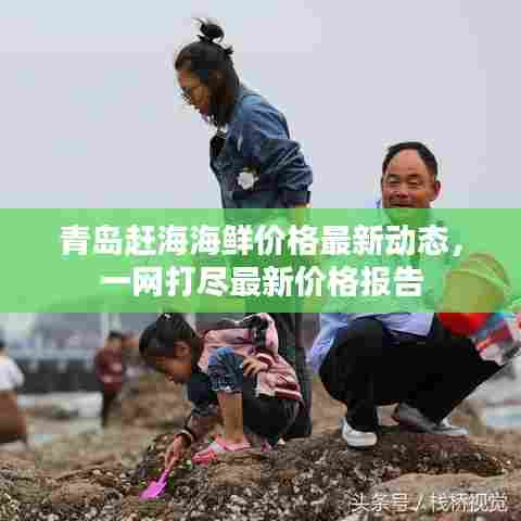青岛赶海海鲜价格最新动态，一网打尽最新价格报告