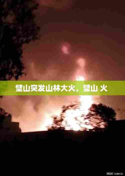 璧山突发山林大火，璧山 火 