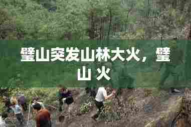 璧山突发山林大火,璧山 火