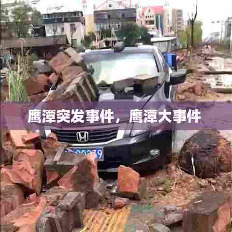 鹰潭突发事件，鹰潭大事件 