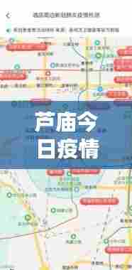 芦庙今日疫情实时数据更新，最新消息全面掌握