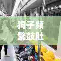 狗子频繁鼓肚子,原因解析与应对方法