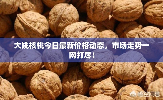 大姚核桃今日最新价格动态，市场走势一网打尽！