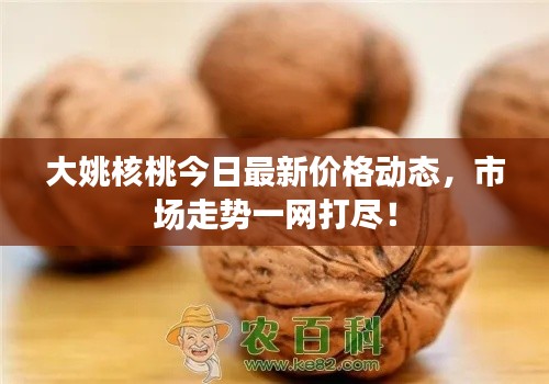 大姚核桃今日最新价格动态,市场走势一网打尽!