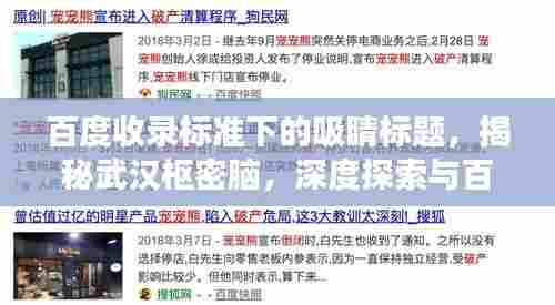 百度收录标准下的吸睛标题，揭秘武汉枢密脑，深度探索与百度启示之旅