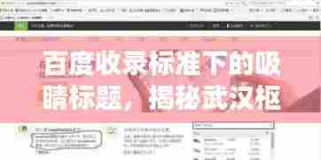 百度收录标准下的吸睛标题,揭秘武汉枢密脑,深度探索与百度启示之旅