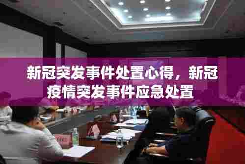 新冠突发事件处置心得，新冠疫情突发事件应急处置 