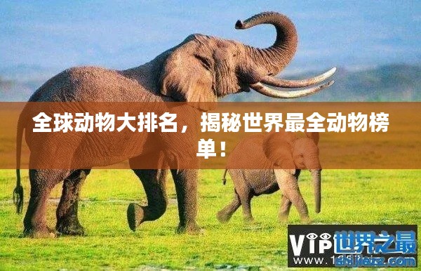 全球动物大排名,揭秘世界最全动物榜单!