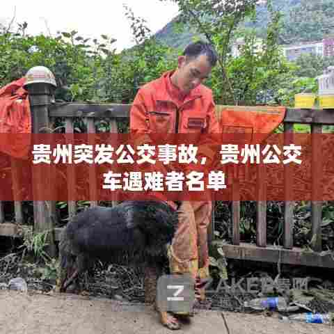 贵州突发公交事故，贵州公交车遇难者名单 