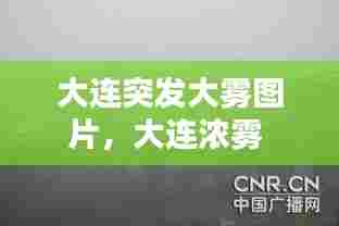 大连突发大雾图片，大连浓雾 